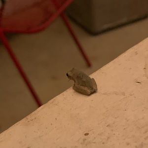 Meet your Posher, Sydney